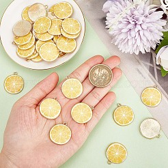 40шт подвески из эмалированного сплава с покрытием из светлого золота&nbsp;ENAM-SC0003-62