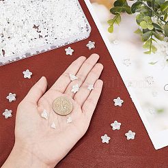 600 шт. 2 стильных колпачка для бусин из АБС-пластика с имитацией жемчуга&nbsp;OACR-FH0001-032