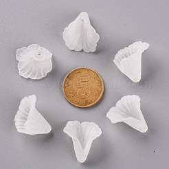 Прозрачные колпачки акриловая бисера PL551