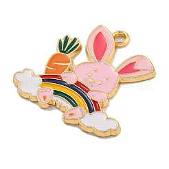 Подвески из эмали и сплава&nbsp;ENAM-H045-02A-G02