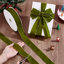 25 ярд бархатной ленты&nbsp;OCOR-WH0077-086