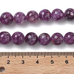 Натуральный лепидолит / пурпурный слюдяный камень бисер пряди&nbsp;G-C270-O05-14