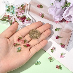 50 шт. 5-х цветные прозрачные акриловые и стеклянные подвески&nbsp;PALLOY-YW00071