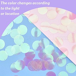 80 г переливающиеся подвески из ПВХ с пайетками/блестками&nbsp;KY-SC0002-49A