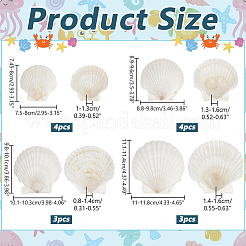 14 шт. 4 стиля аксессуаров для рисования натуральными ракушками DIY-NB0012-05