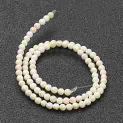 Нитки бусин из магнезита нртутала&nbsp;G-L575-01A