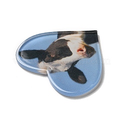 Непрозрачные акриловые подвески&nbsp;SACR-P020-A02