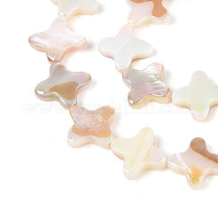 Нити бусин из натуральных пресноводных раковин с гальваническим покрытием&nbsp;SHEL-N038-28