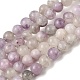 Натуральный лепидолит / пурпурный слюдяный камень бисер пряди&nbsp;G-K410-06-4mm-A-2