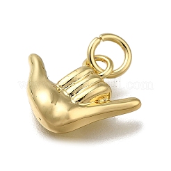 Латунные подвески&nbsp;LS-ZIRC-I070-019G