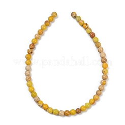 Нити бусин из окрашенного натурального регалита/императорской яшмы/морского осадка яшмы&nbsp;G-B124-C04-04