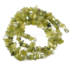 Бусины из натурального нефрита&nbsp;G-B160-B02