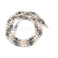 Гальванические оболочки жемчужные бусы пряди&nbsp;BSHE-H113-06A-03