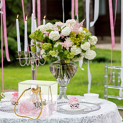 Прозрачная подарочная коробка из пластика для животных&nbsp;OBOX-WH0016-05A