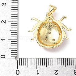 Подвески из латуни с кубическим цирконием и эмалью&nbsp;KK-L253-07G