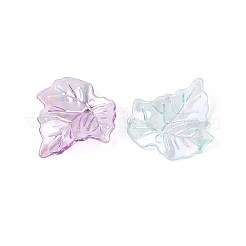 Прозрачные акриловые подвески&nbsp;OACR-N149-02