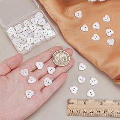 50 шт. пуговицы из натуральной ракушки с 2 отверстиями BUTT-AR0001-24