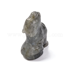 Натуральные лабрадоритовые дисплеи&nbsp;DJEW-P019-A08