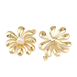 Латунные подвески&nbsp;KK-L255-23G-04