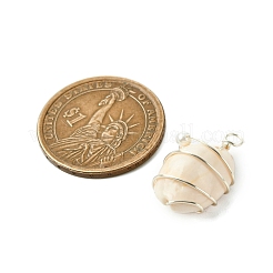 Подвески из натуральной медной проволоки из ракушек каури&nbsp;PALLOY-TA00196-02