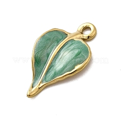 Подвески из нержавеющей стали 304 с эмалью&nbsp;STAS-I355-06G