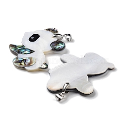 Натуральная ракушка пауа&nbsp;FIND-A041-02F-P