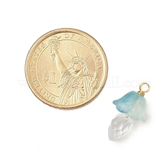 10 шт. двухцветные стеклянные подвески&nbsp;PALLOY-JF02963