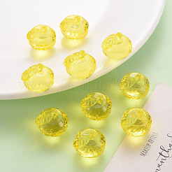 Прозрачные акриловые подвески&nbsp;LS-TACR-T024-05B-916