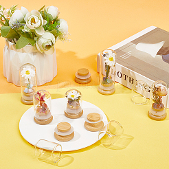 Купол из прозрачного стекла&nbsp;CON-SC0001-05A