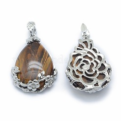 Природных тигровый глаз подвески&nbsp;G-P393-B04