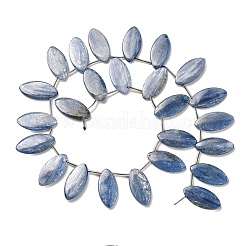 Натуральный кианитовые бисер пряди&nbsp;G-H335-H01-12x15mm