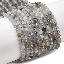 Природные лабрадорита бисер нитей&nbsp;LS-G-RM250104-E8