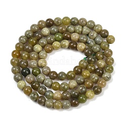 Натуральный канадский нефрит бисер пряди&nbsp;G-B171-B01-4mm