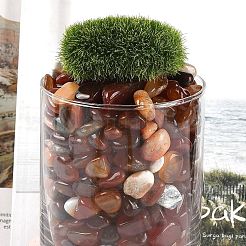 Окрашенные и нагретые натуральные бусины из агата&nbsp;X1-G-J402-04C-02