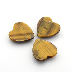 Природных тигровый глаз кабошонов&nbsp;G-P021-04