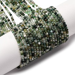 Природные моховой агат бисер нитей&nbsp;G-A129-2mm-01A