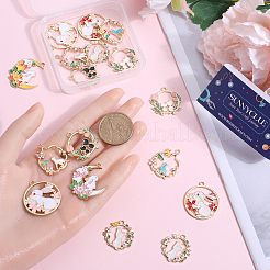 20шт 10 стиля подвески из сплава с эмалью&nbsp;ENAM-SC0004-09