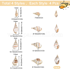 16 шт. 4 подвески в виде ракушек с гальваническим покрытием&nbsp;SSHEL-SC0001-20