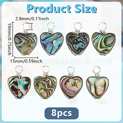 8 шт. подвески в форме сердца из ракушек-абалонов/ракушек пауа&nbsp;PALLOY-GO00048