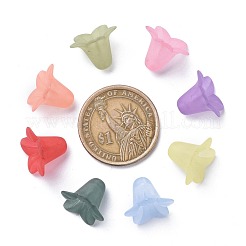 Смешанный цвет прозрачный акрил матовое цветочные бусы&nbsp;X-PLF018