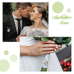 Железа брошь&nbsp;JEWB-FH00015