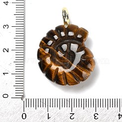 Природных тигровый глаз подвески&nbsp;G-A287-01G-04