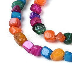 Нити бусин из натуральных пресноводных ракушек&nbsp;SHEL-N037-04B