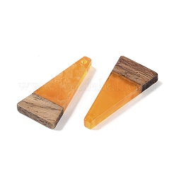 Подвески из смолы и дерева&nbsp;WOOD-F015-03B