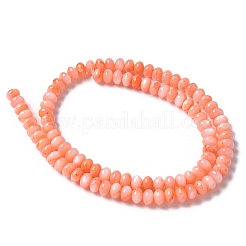 Нити бусин из натуральных пресноводных ракушек&nbsp;SSHEL-C013-07A