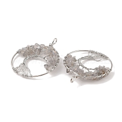 Натуральный лабрадорита большие подвески&nbsp;G-G910-K12-P