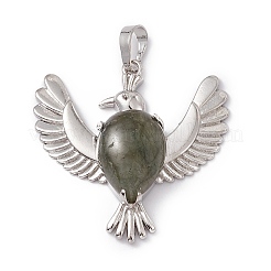 Природные подвески лабрадорита&nbsp;G-P484-05P-06