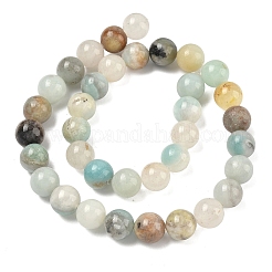 Натуральный цветок амазонитовые бусины пряди&nbsp;G-F415-10mm