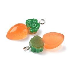 Подвески из непрозрачной смолы&nbsp;RESI-Z040-05P