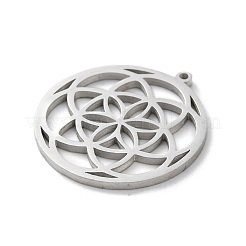 Подвески из нержавеющей стали 304 с защитой от потускнения&nbsp;LS-STAS-S149-02P